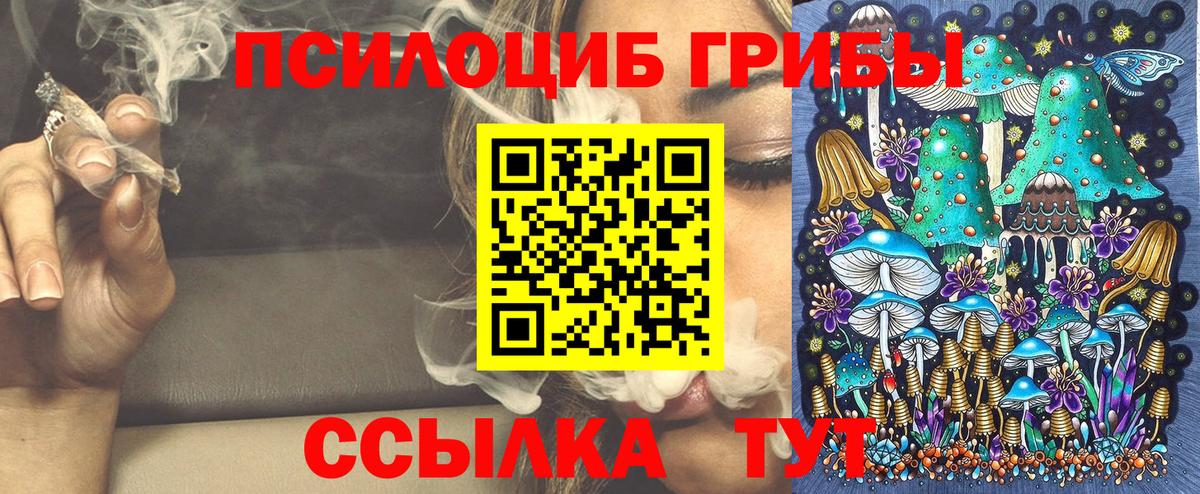 Псилоцибиновые грибы MAGIC MUSHROOMS  Вход с VPN  Псилоцибиновые грибы Cubensis  Аша 