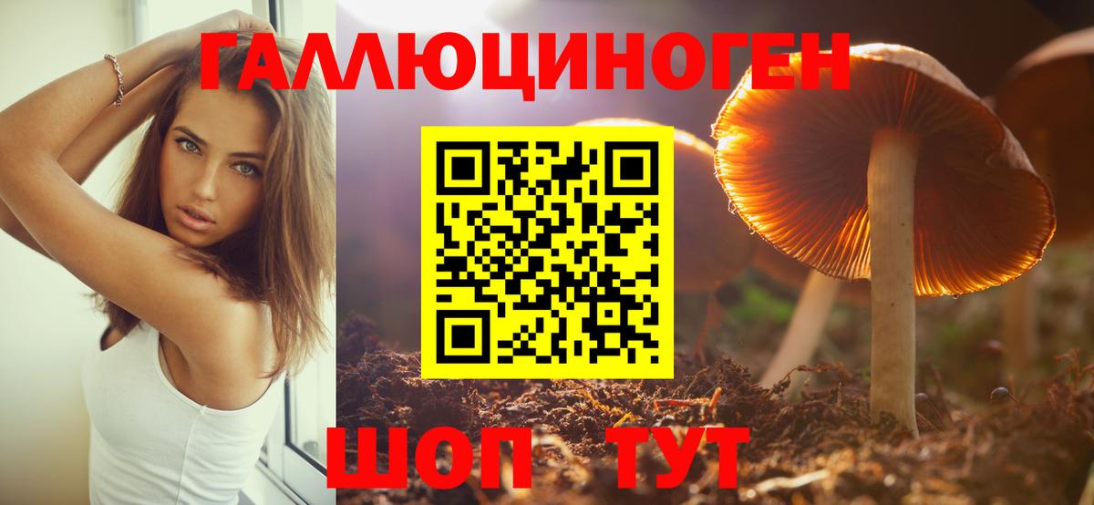 Псилоцибиновые грибы GOLDEN TEACHER Аша