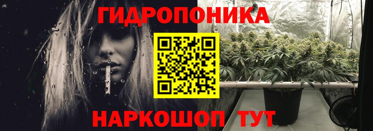 Аша  Бошки марихуана тримм  Вход с VPN  Конопля Ganja  Марихуана Bruce Banner 